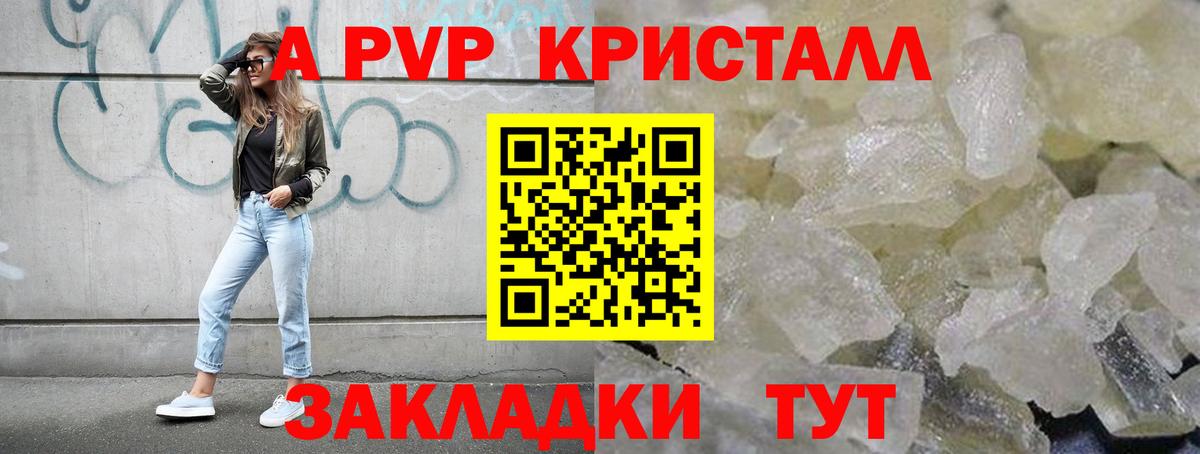A PVP СК КРИС Обнинск