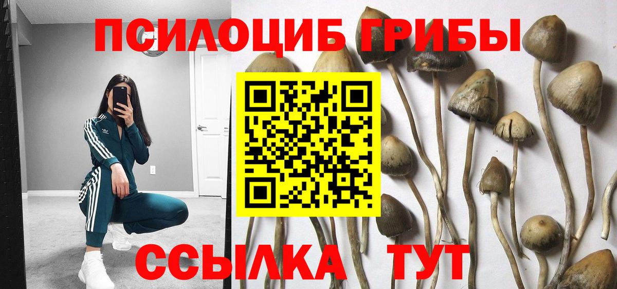Галлюциногенные грибы MAGIC MUSHROOMS  Вход с VPN  Обнинск 
